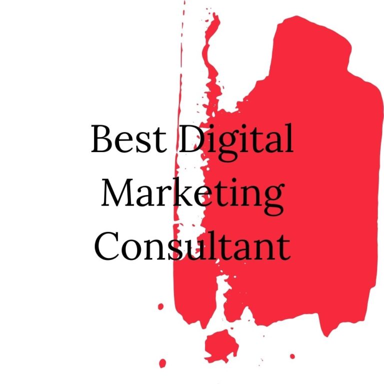 Web Designer And Developer Best Digital Marketing Consultant