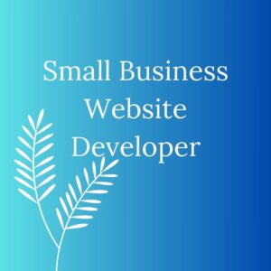 Web Designer And Developer Best Digital Marketing Consultant